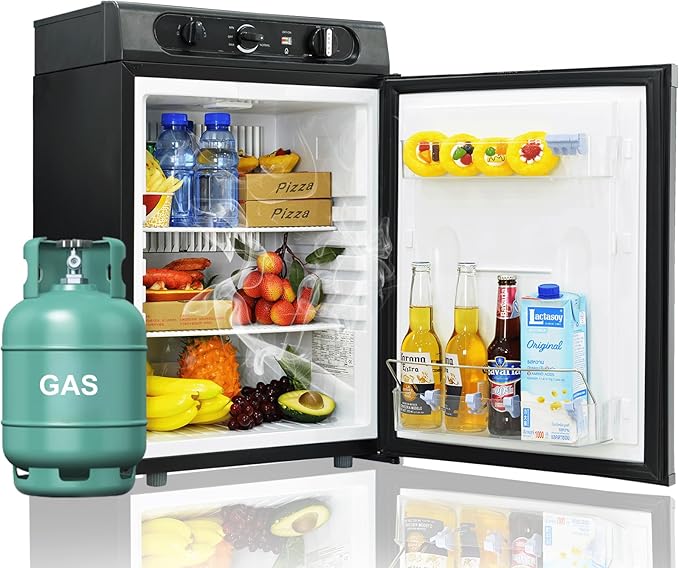 ❄️🔥 Outdoor 2-in-1 Fridge 🏕️ Compact Propane & Electric